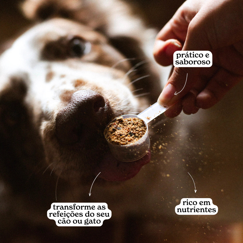 Super Powder 210g The Hungry Dog