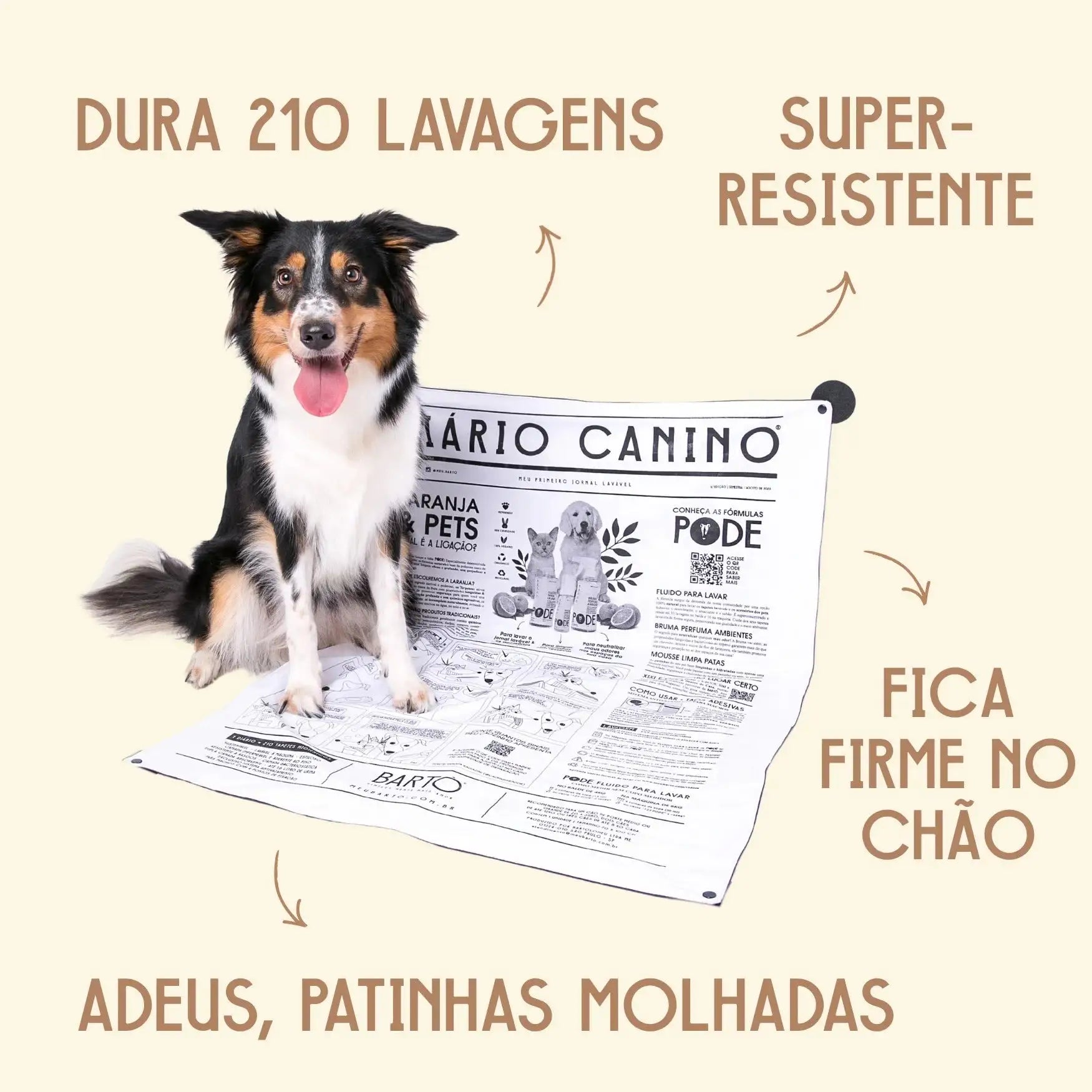 Tapete Higiênico Lavável Bartô Mais Jornal