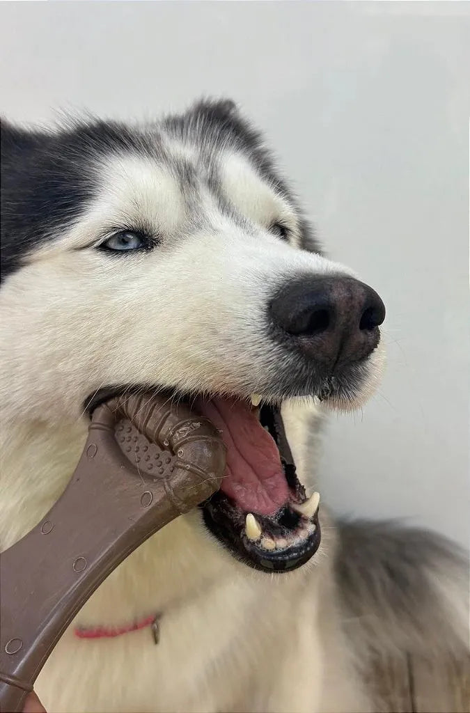 Ossão Recheável Carne Mordedor Bio Bone