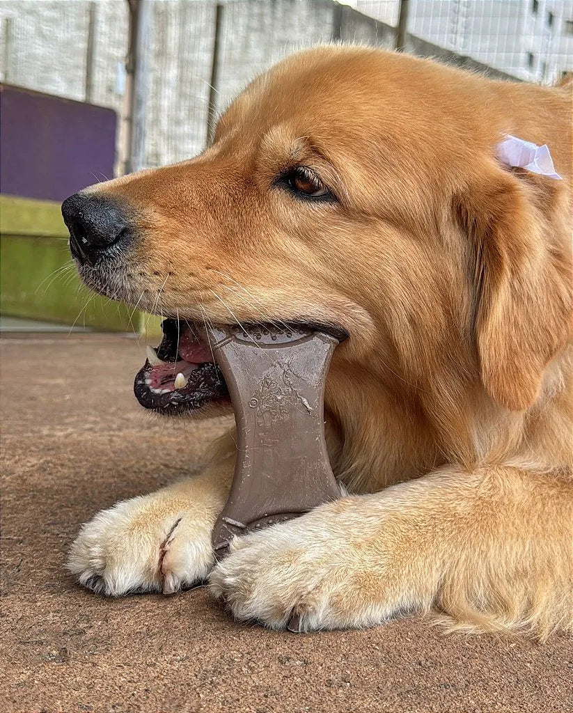 Ossão Recheável Carne Mordedor Bio Bone
