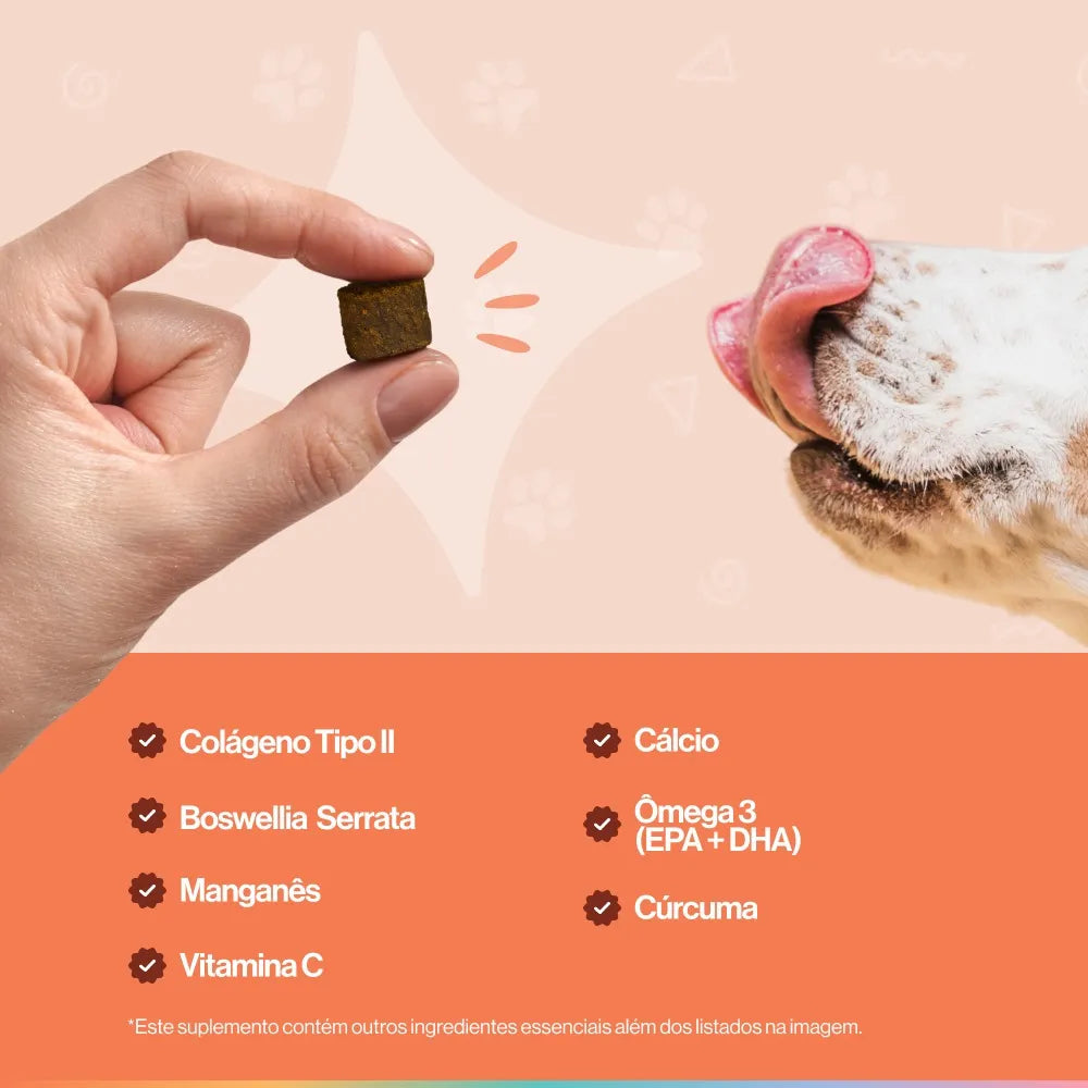 Ossos & Articulações Buddy Nutrition