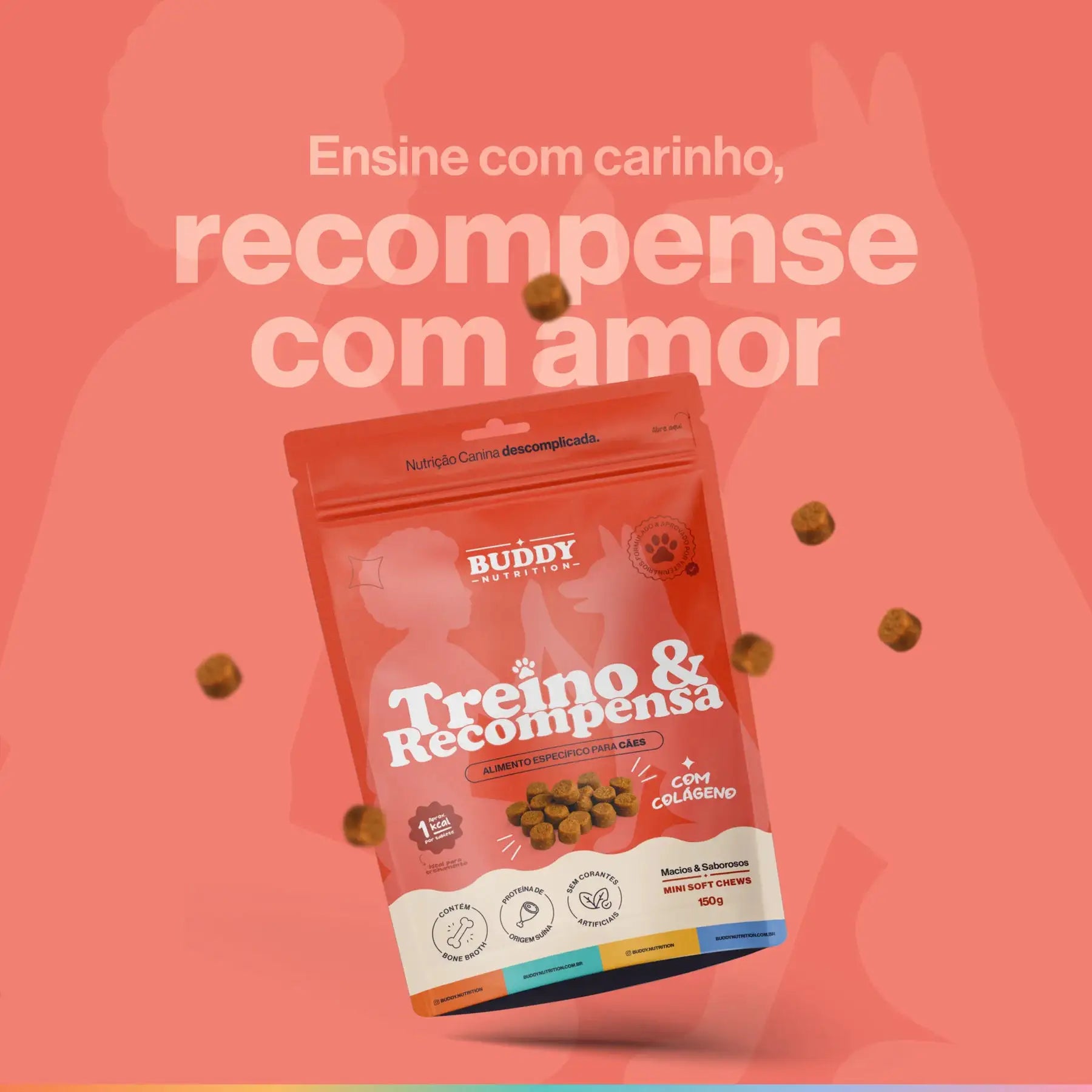 Petisco Treino & Recompensa Buddy Nutrition